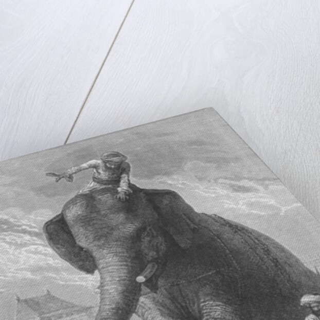 Elephant Crushing Victim's Head by Anonymous