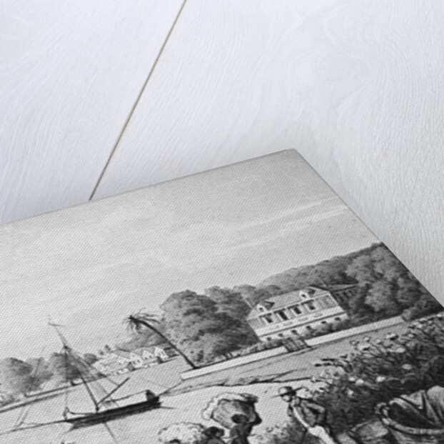 People Working on A Cotton Plantation by Anonymous
