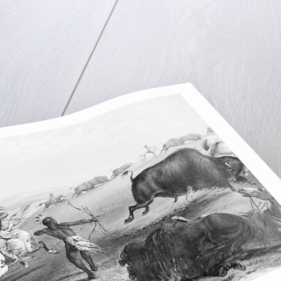 Indians Killing Buffalos by Anonymous