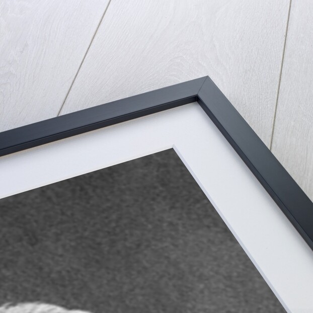 Vice-President George Clinton by Anonymous