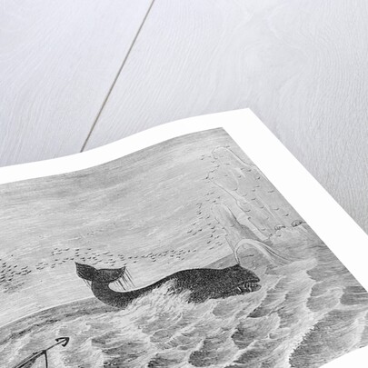 Man Whaling with Harpoon Gun by Anonymous