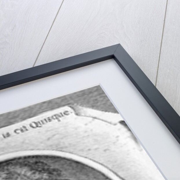 Portrait of Samuel Pepys, The Famous Diarist by Anonymous