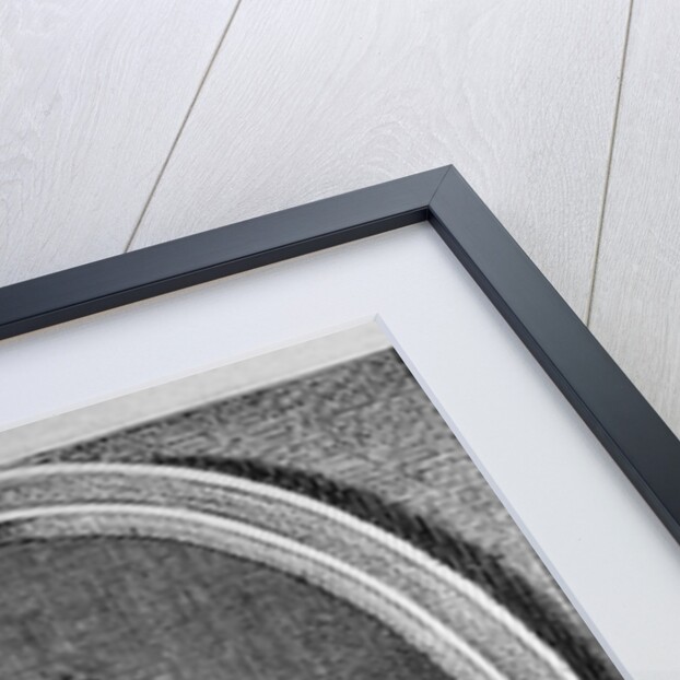 Portrait of Jakob Bernoulli by Anonymous