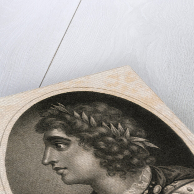 Side View Portrait of Alcibiades by Anonymous