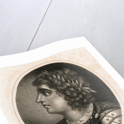 Side View Portrait of Alcibiades by Anonymous