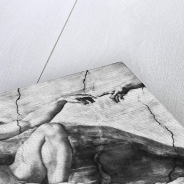 Detail of Creation of Adam by Michelangelo