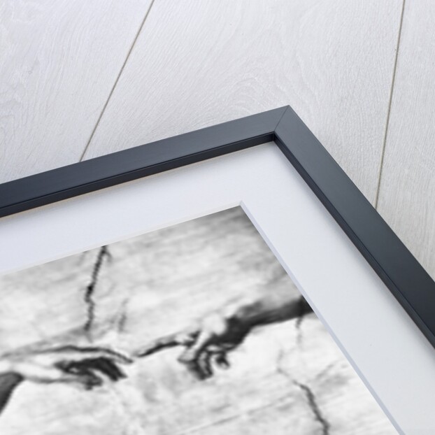 Detail of Creation of Adam by Michelangelo