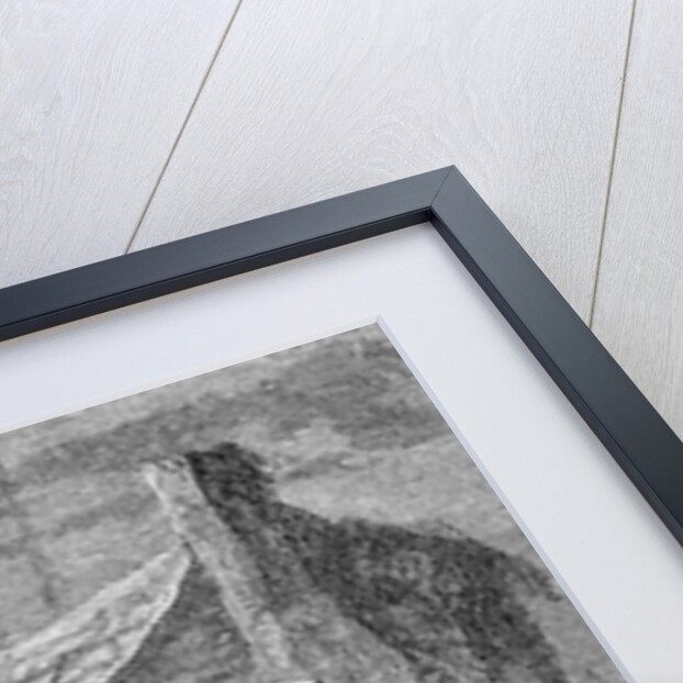 Book Illustration of Johnny Appleseed Warning Pioneers of Approaching Indians by Anonymous