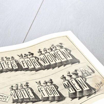 Cartoon of Woman's Suffrage by Anonymous