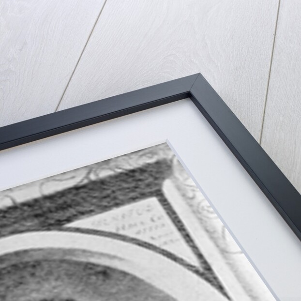 Portrait of Simon Stevin by Anonymous