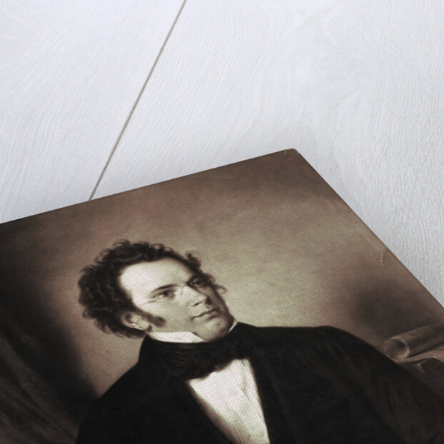 Portrait of Franz Schubert by Anonymous