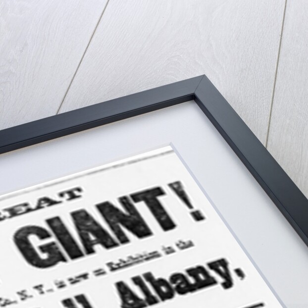 Poster for Cardiff Giant by Anonymous