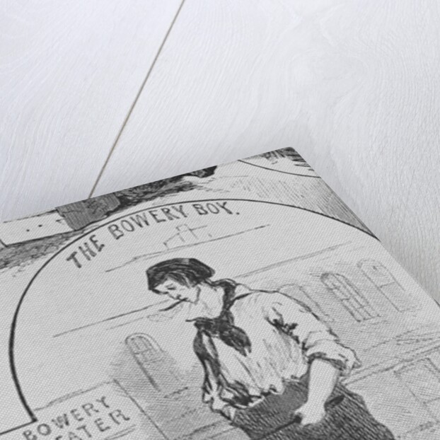 The Bowery Boy Drawing by Anonymous