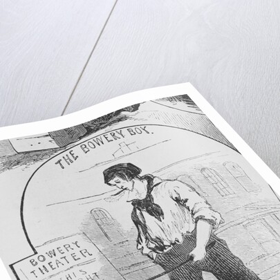 The Bowery Boy Drawing by Anonymous
