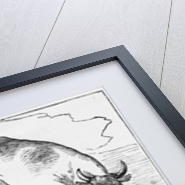 Illustration for Mother Goose Nursery Rhyme by Anonymous