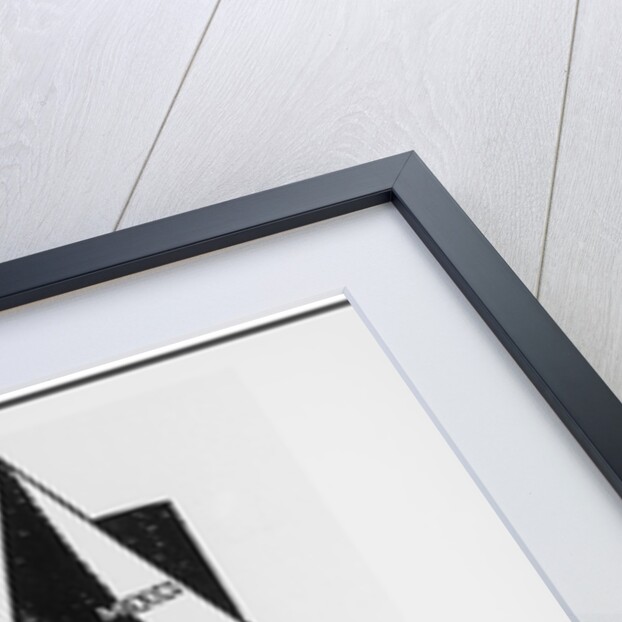 This is the House that Polk Built Editorial Cartoon by Anonymous