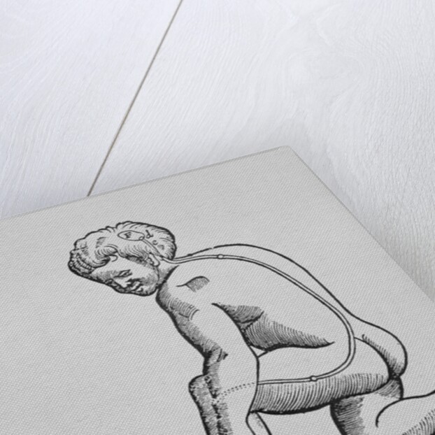 Illustration of Descartes' Theory of Nerves Transmitting Stimulus to the Brain by Anonymous