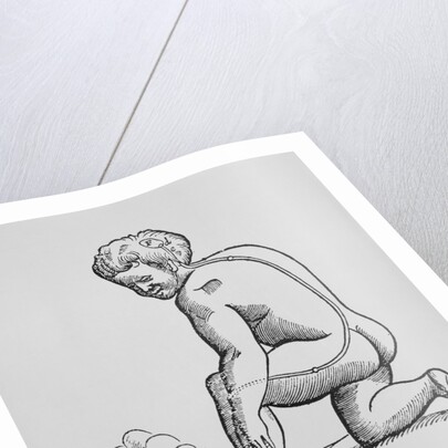 Illustration of Descartes' Theory of Nerves Transmitting Stimulus to the Brain by Anonymous