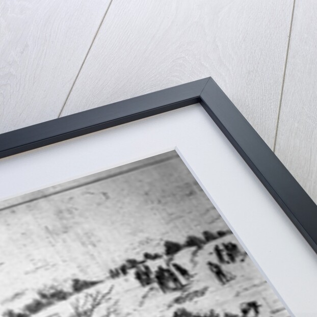 Arbor Day by Anonymous