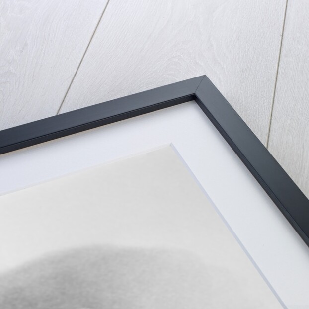 Portrait of Baron Wilhelm von Humboldt by Anonymous