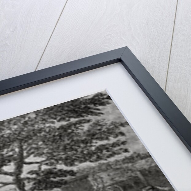 Engraving of Solar Eclipse in Peru by Bernard Picard