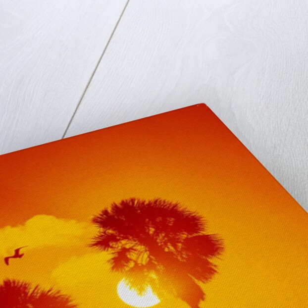 Orange Sunset and Silhouetted Palm Trees by Anonymous