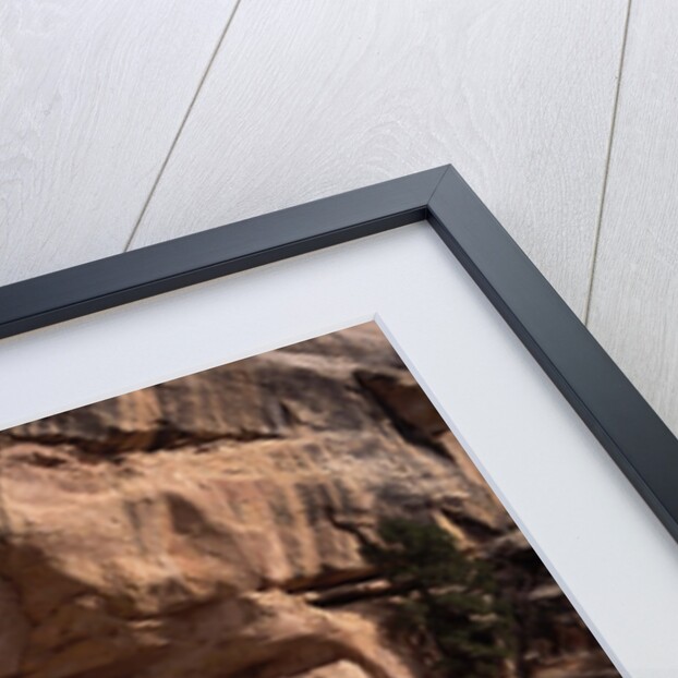 Anasazi Village in the Mesa Verde National Park by Anonymous