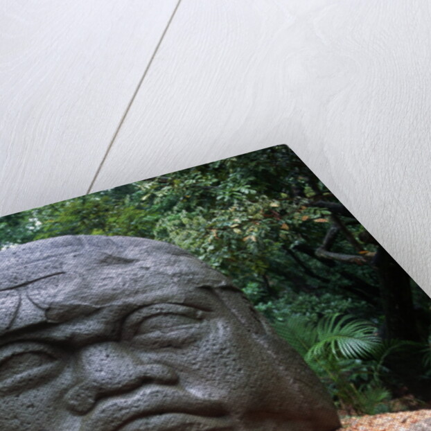 Giant Olmec Head at La Venta Park by Anonymous