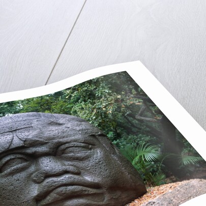 Giant Olmec Head at La Venta Park by Anonymous