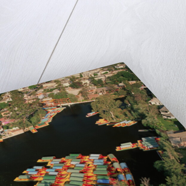 Aerial of Xochimilco Floating Gardens by Anonymous