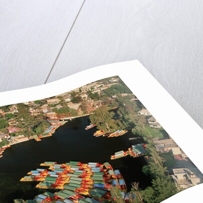 Aerial of Xochimilco Floating Gardens by Anonymous