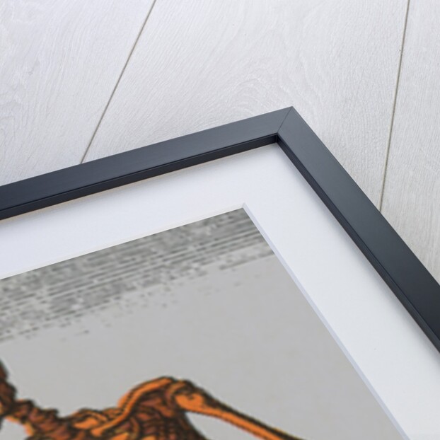 Tarot Card Depicting Death by Anonymous