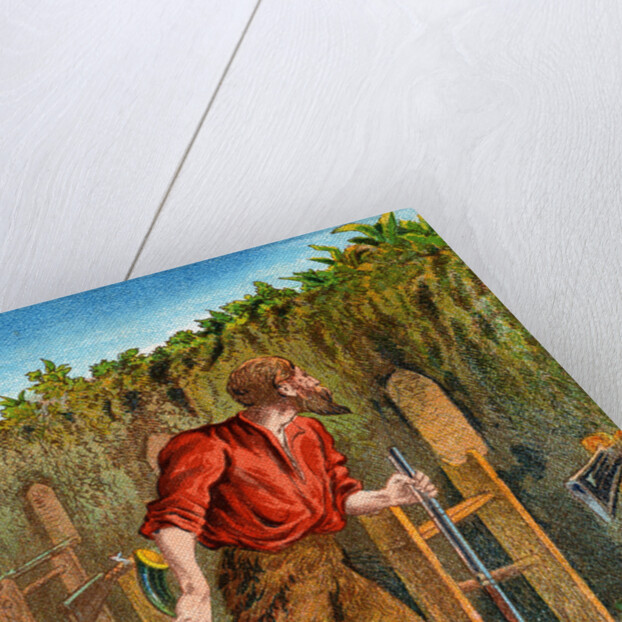 Illustration from Robinson Crusoe by Anonymous