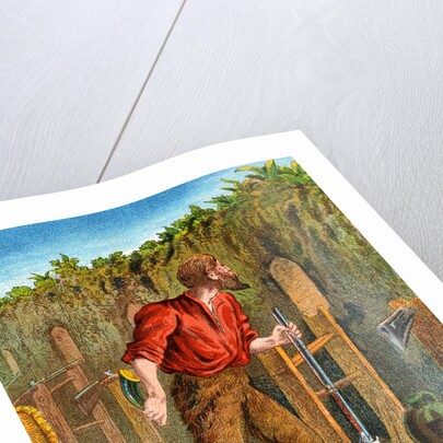 Illustration from Robinson Crusoe by Anonymous