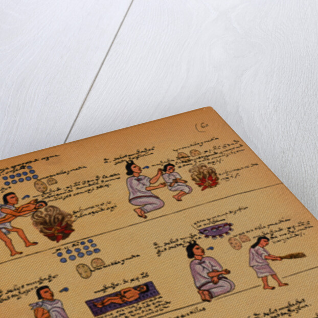 Scenes of Everyday Life from an Aztec Manuscript by Anonymous