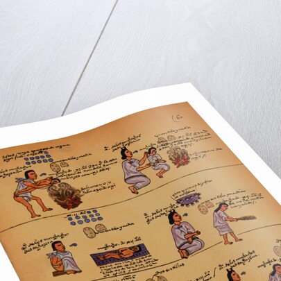 Scenes of Everyday Life from an Aztec Manuscript by Anonymous