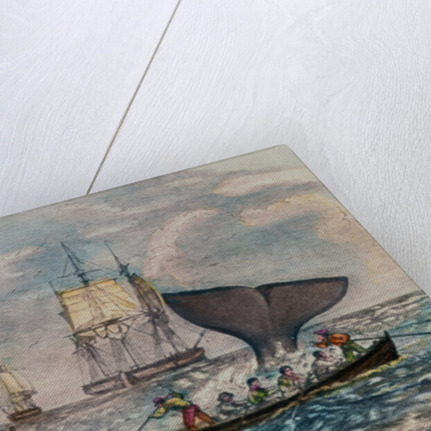 South Sea Whaling by Anonymous