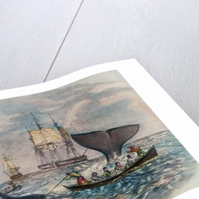 South Sea Whaling by Anonymous