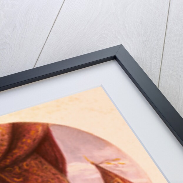 King John Sealing the Magna Carta by Anonymous