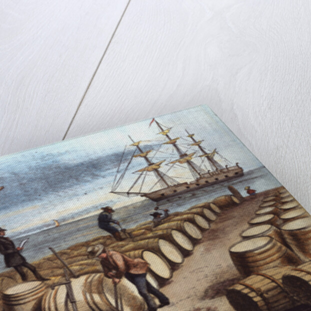 Color Print of Wharf Workers Measuring Whale Oil Content in Barrels by Anonymous