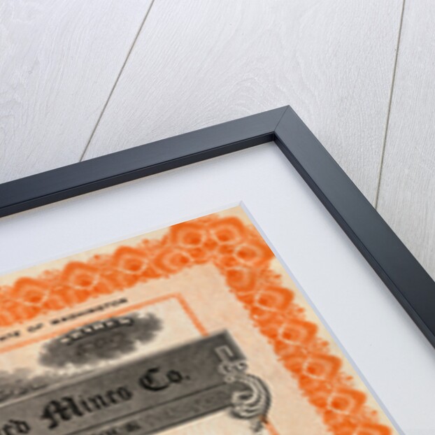 Chisna Consolidates Mines Company Certificate by Anonymous