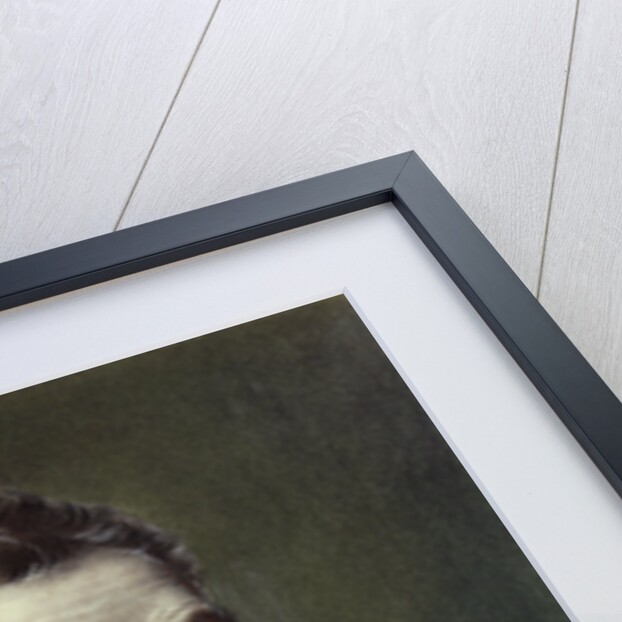 Portrait of Michaelangelo Buonorotti by Anonymous