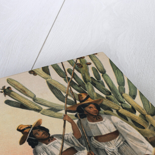 Portrait of Papago Indians by Anonymous