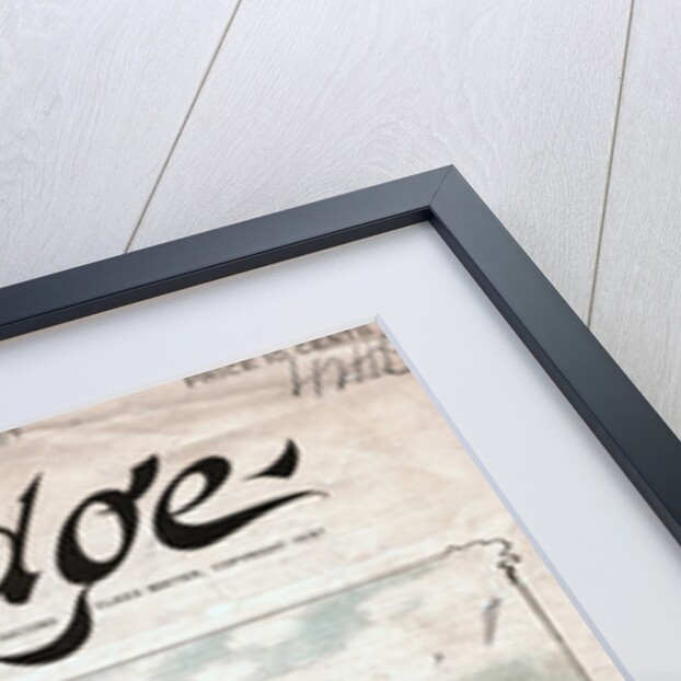 The Popular Craze Political Cartoon by Hamilton