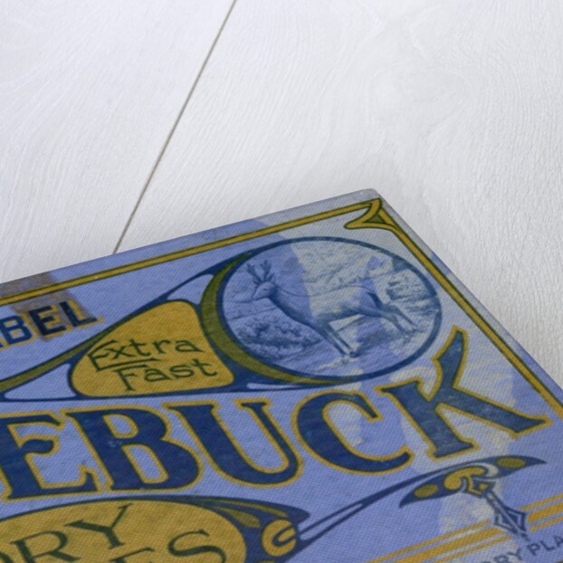 Advertisement for Roebuck Photographic Dry Plates by Anonymous