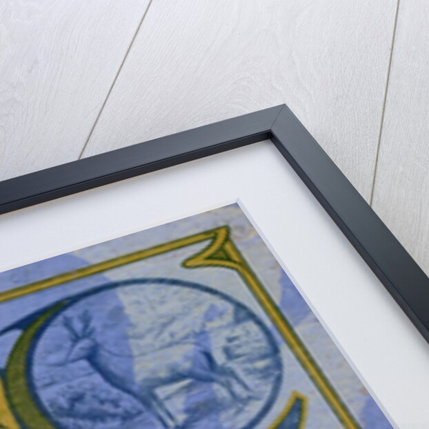 Advertisement for Roebuck Photographic Dry Plates by Anonymous