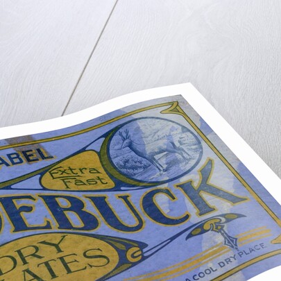 Advertisement for Roebuck Photographic Dry Plates by Anonymous