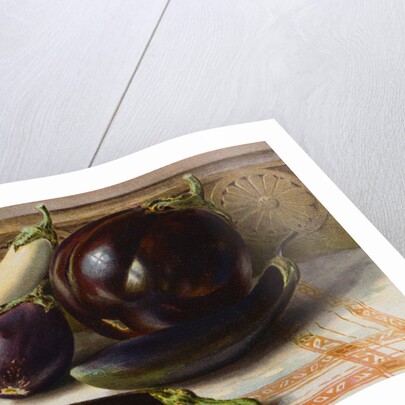 Still life of Eggplant by Anonymous