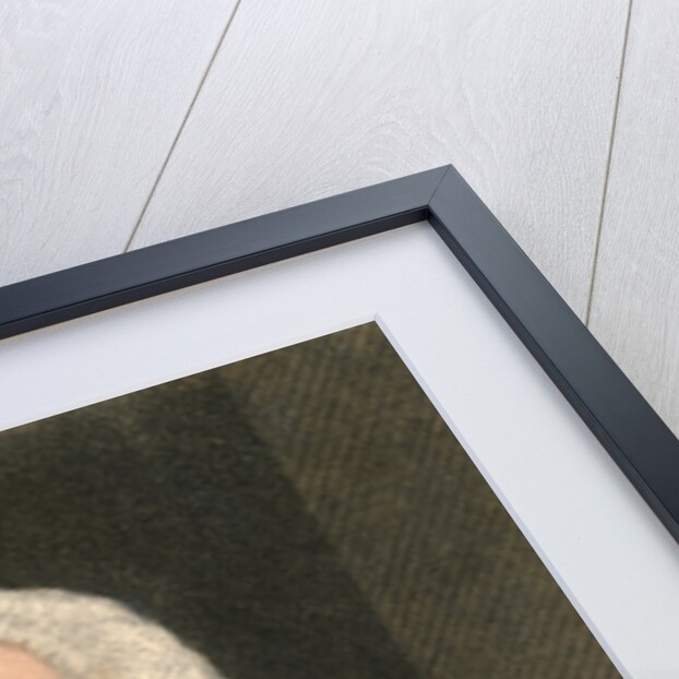 Novelist Samuel Richardson by Anonymous