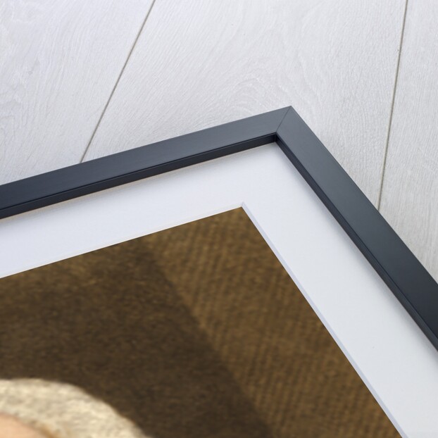 Novelist Samuel Richardson by Anonymous